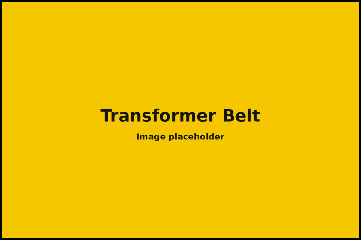 Transformer Belt